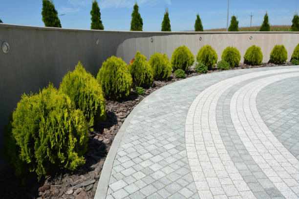 Reasons to Select Us for Your Driveway Paving Requirements in Sierra Vista, AZ